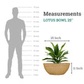 GoHooked Lotus Bowl 25 inch brown polymer planter with drainage option. Shows scale against a human silhouette.
