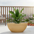 GoHooked large, shallow, light brown polymer planter pot with a textured finish, holding a lush green plant on a balcony.