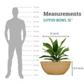 GoHooked Lotus Bowl 31 inch brown polymer planter with drainage option. Shows scale against a human silhouette.