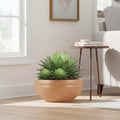 Go Hooked brown polymer Lotus Bowl planter with drainage, holding a large succulent plant.