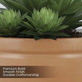 Go Hooked brown polymer lotus bowl planter with drainage option, featuring green succulents.