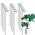 Go Hooked 16-inch black metal plant stakes, pack of 12, for single stem flower support.