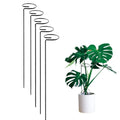 GoHooked black metal plant stakes, 16 inches tall, single stem support for flowers and plants. Pack of 5.