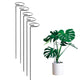 Go Hooked 16 inches Metal Plant Stakes Pack of 5 | Single Stem Flower Plant Support | Gardening Planter Cages for Flower Plants | Plant Cage Support Ring for Rose Amaryllis Orchid Tomatoes Lily