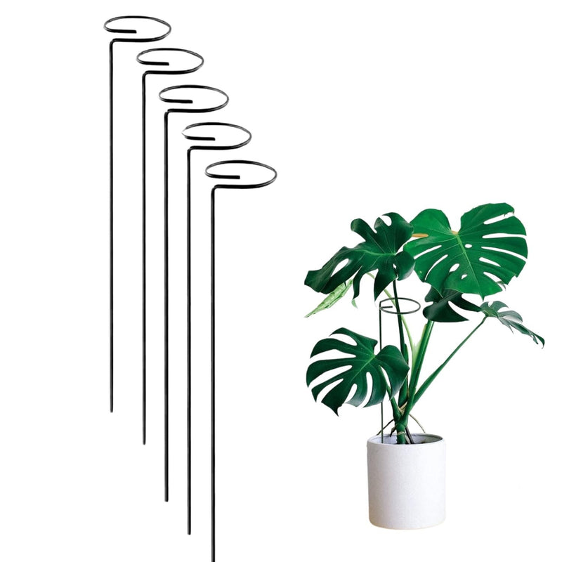GoHooked black metal plant stakes, 16 inches tall, single stem support for flowers and plants. Pack of 5.