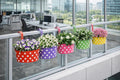 Go Hooked multicolour metal railing planters with white polka dots, holding various flowers and plants on a balcony.