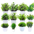 GoHooked 12 mini artificial plants in white pots, various green foliage styles for home decor.