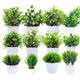 Go Hooked Artificial Plants Small, Mini Artificial Plants Indoor for Home Farmhouse Bathroom Shelf DÃ©cor Height 17CM Green and White 12 (Design May Vary)