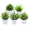 GoHooked set of 5 mini artificial plants in white square pots, green foliage, perfect for farmhouse decor.