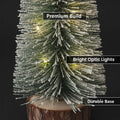 GoHooked green mini Christmas tree with frosted tips and warm LED lights on a wooden base.