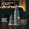 GoHooked snow-flocked mini Christmas trees with warm LED lights on a wooden base. Set of 2.