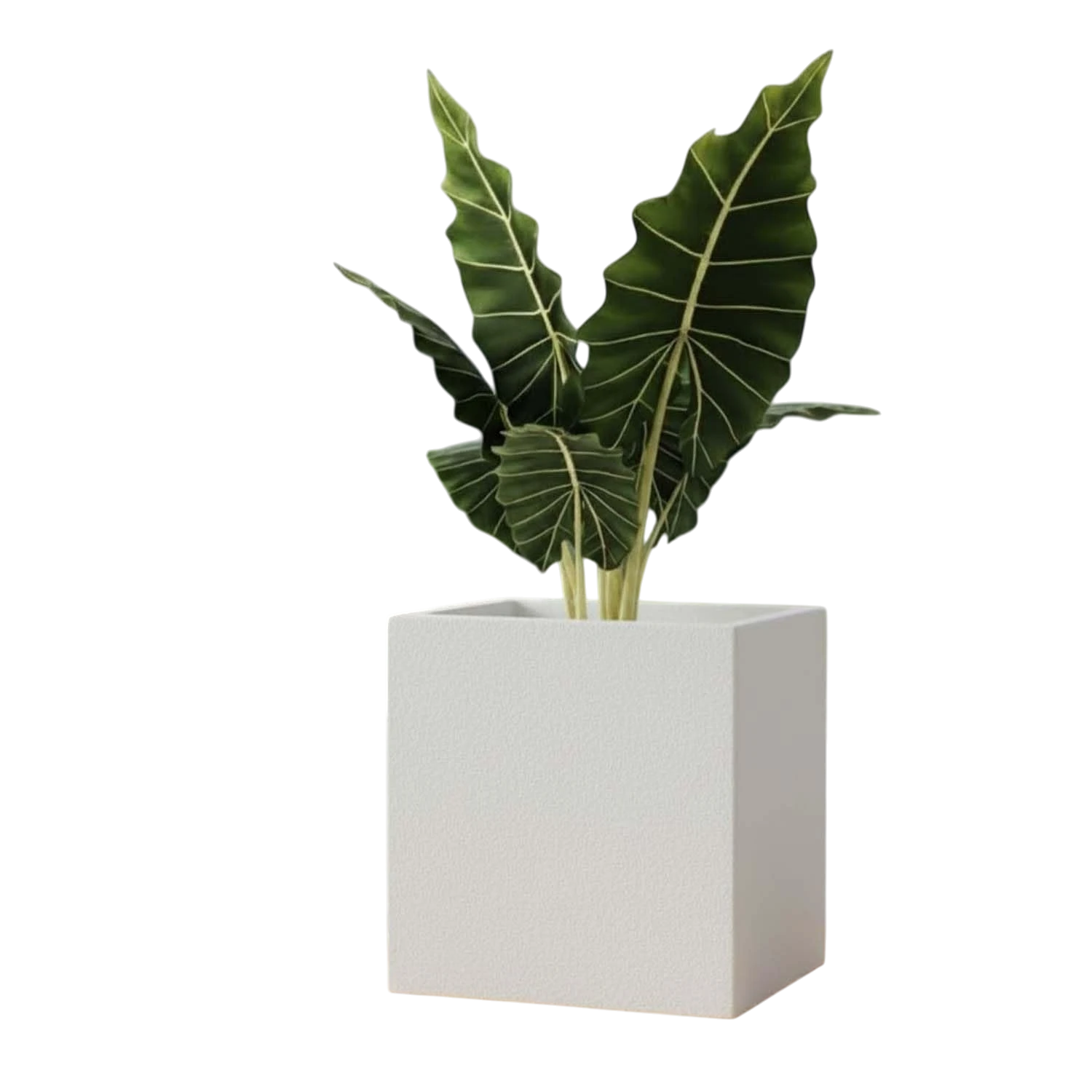 GoHooked 8-inch modern white cube planter made of durable polymers, perfect for indoor or outdoor use.