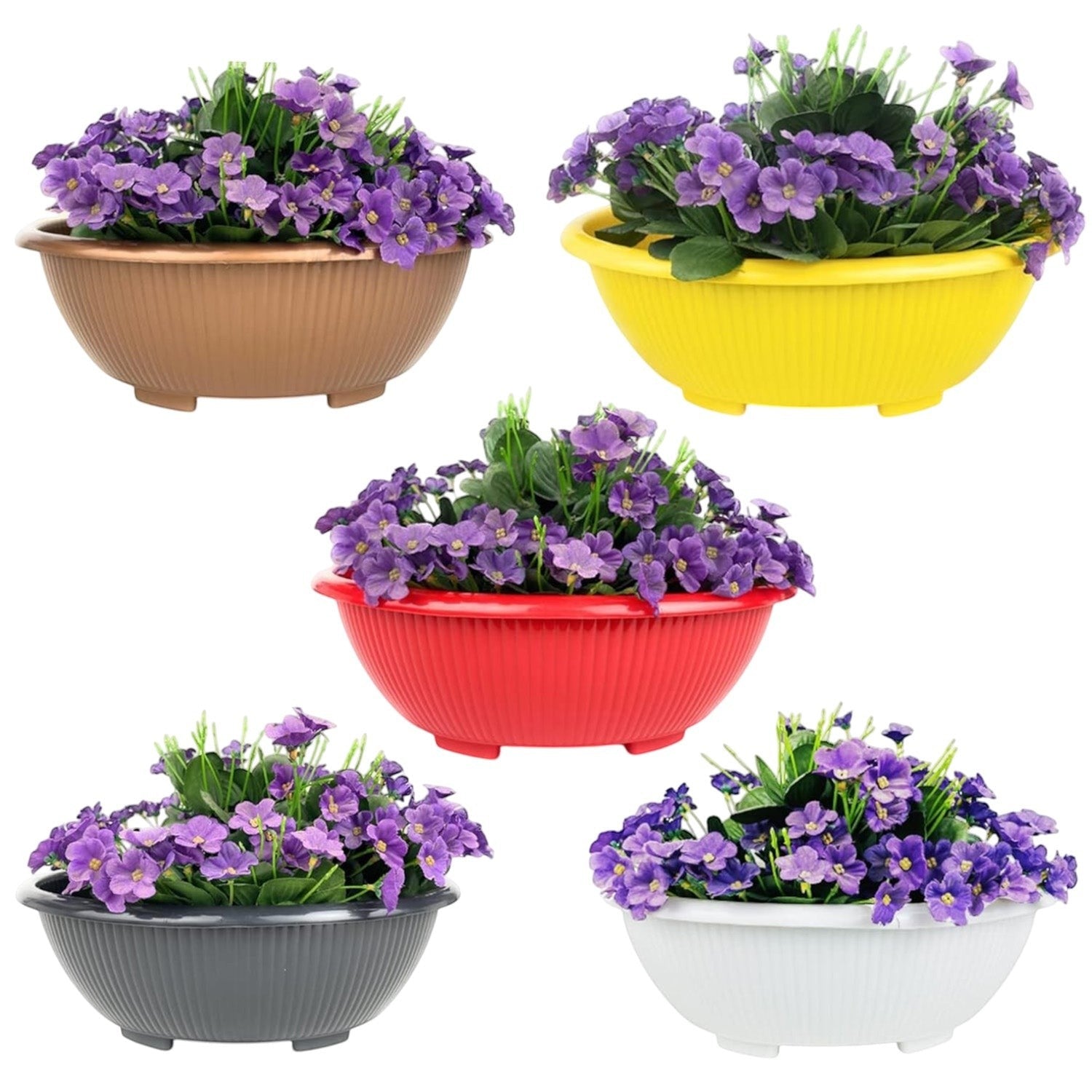 GoHooked set of five colorful round plastic bonsai planter pots with purple flowers for home and garden decor.