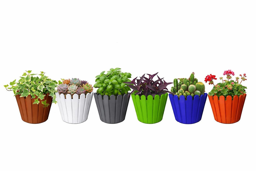 GoHooked set of 3 multicolor plastic garden planters with scalloped edges, holding various plants like ivy, succulents, basil, and cacti.