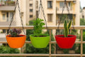GoHooked multicolor plastic hanging triangle planters with chains, ideal for balconies and gardens.