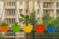 GoHooked multicolor round plastic hanging planters with metal chains, perfect for balconies and gardens.