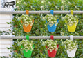 GoHooked Multicolor plastic hanging pots with white flowers, perfect for balconies.