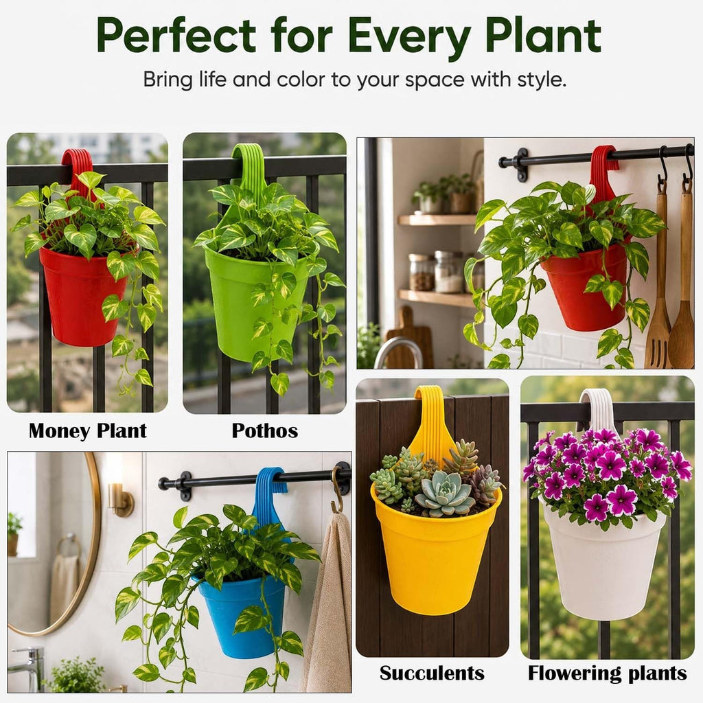 Go Hooked multicolor plastic hanging pots with hooks for balconies and railings, perfect for plants like money plant, pothos, succulents, and flowering plants.