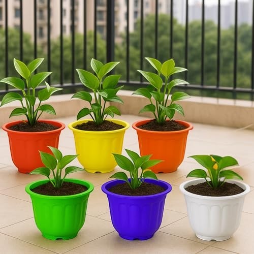 GoHooked set of 6 multicolor plastic Jasmine garden planters, 20.5x15 cm, ideal for indoor and outdoor use.