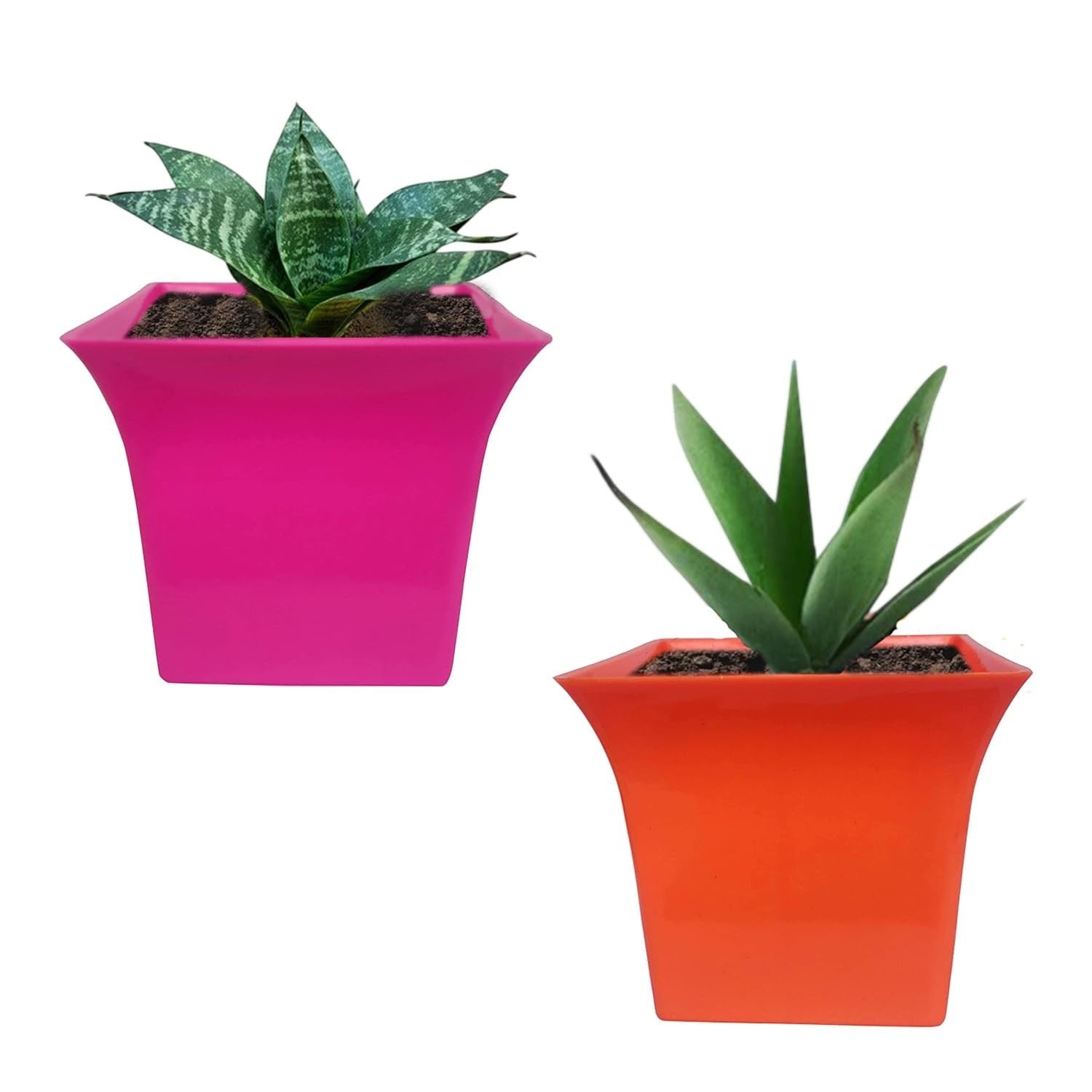Go Hooked set of 2 multicolor square plastic planter pots with plants. One pot is pink, the other is orange.