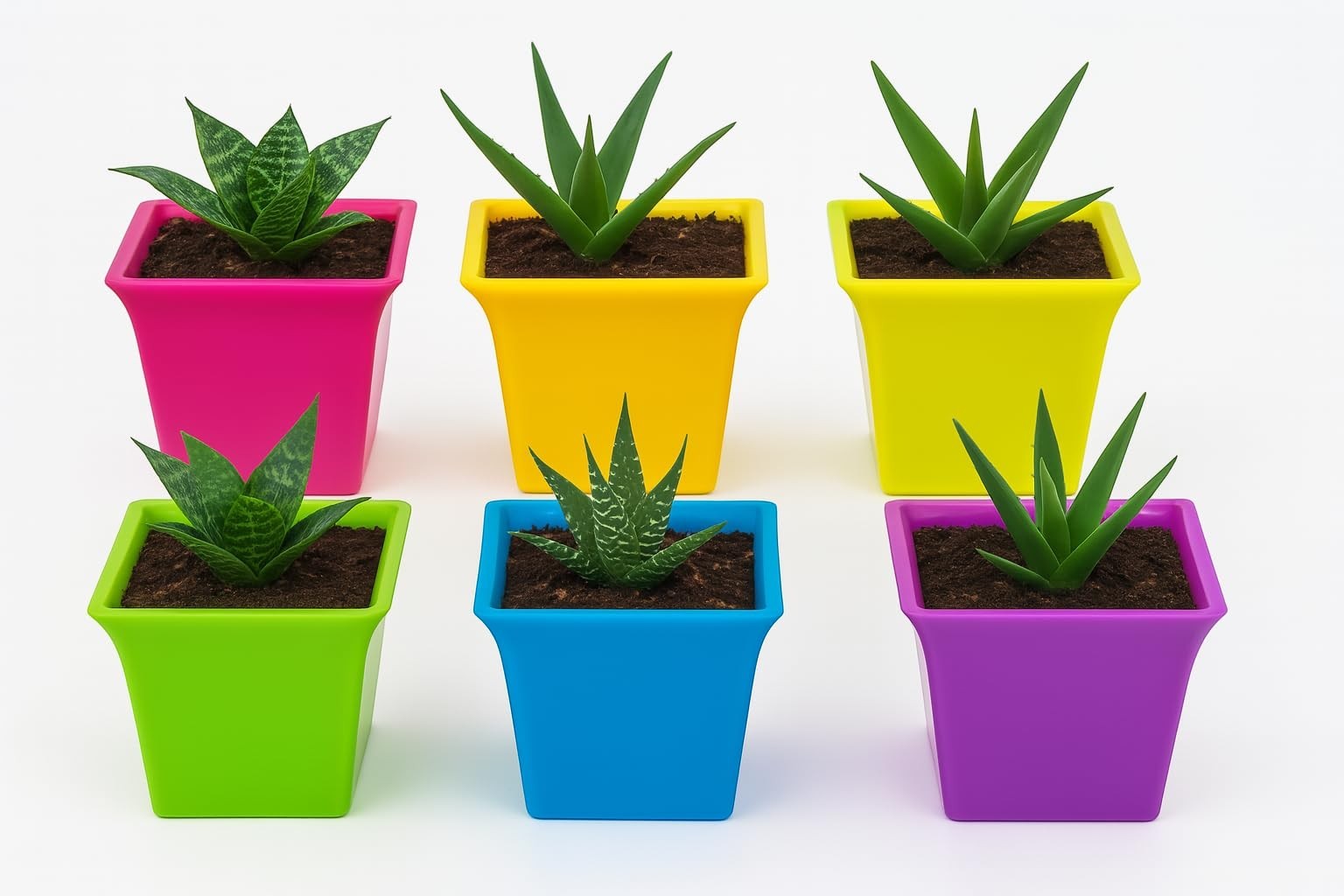 GoHooked set of 2 multicolor plastic planter pots with aloe vera plants. Modern square design, lightweight and durable for indoor/outdoor use.