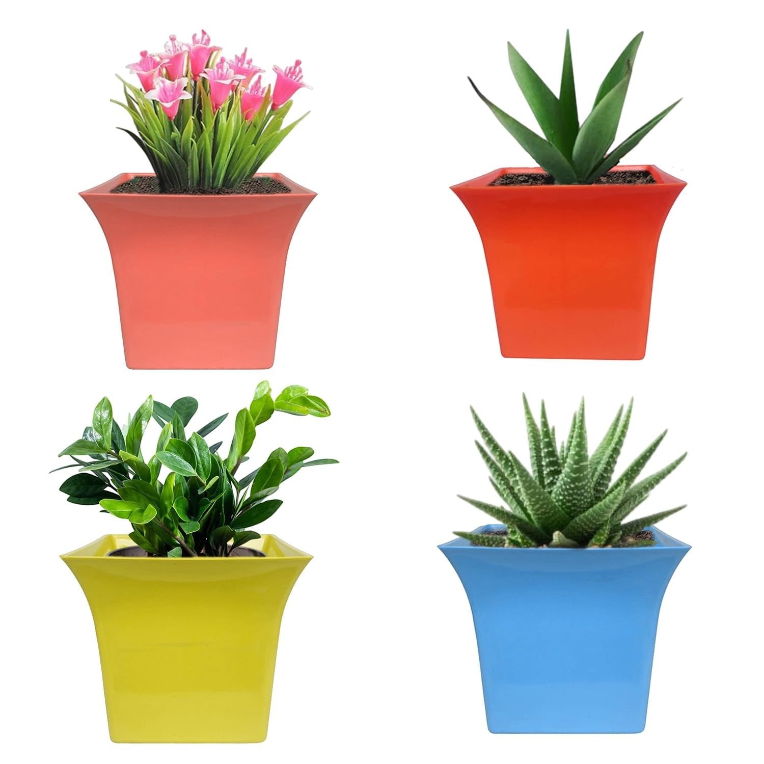 GoHooked set of 4 multicolor square plastic planter pots with plants. Includes coral, orange, yellow, and blue pots.