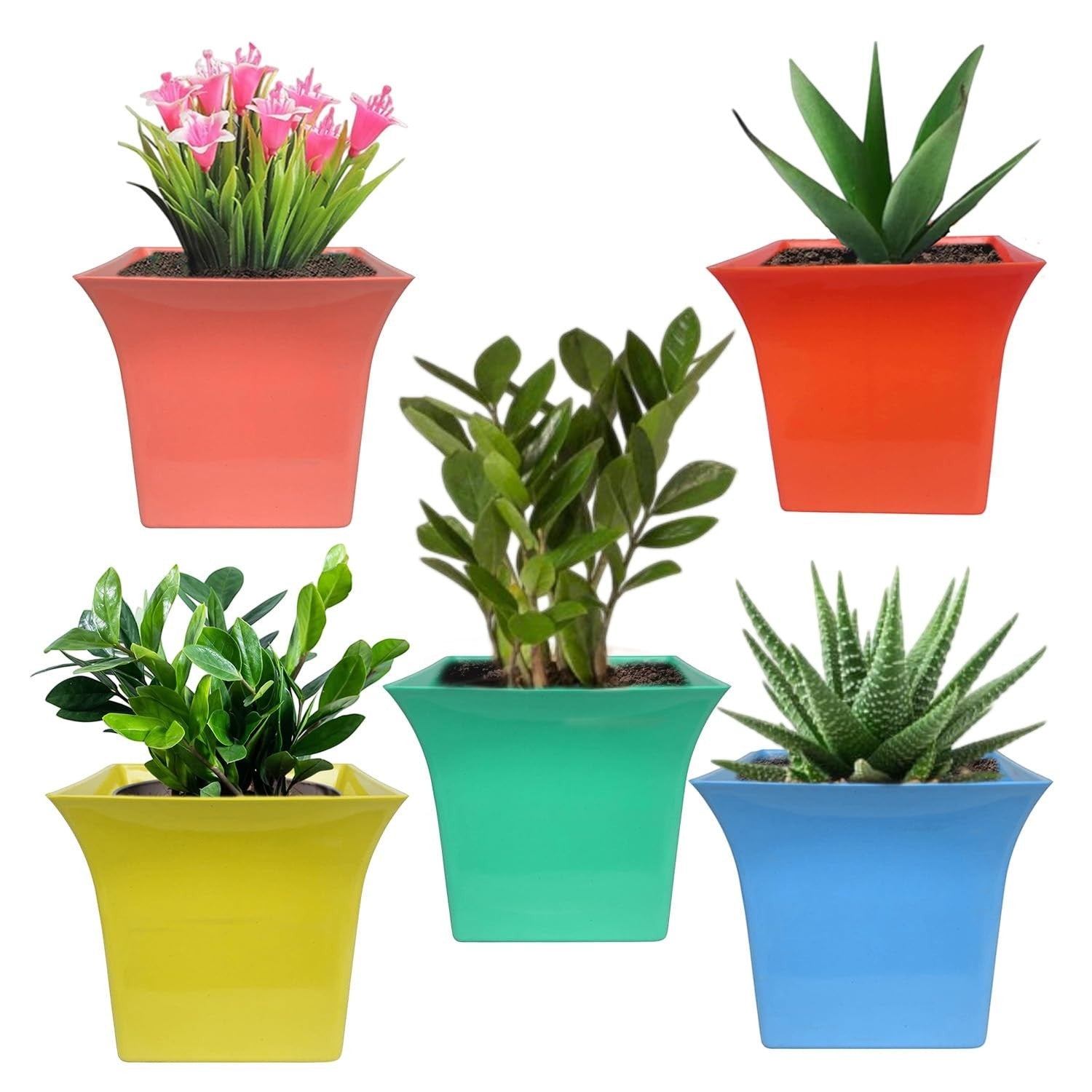 Go Hooked set of 5 multicolor square plastic planter pots with plants. Includes coral, orange, yellow, teal, and blue pots.