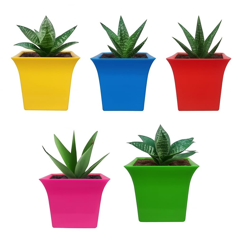 GoHooked set of 5 multicolor square plastic planter pots with plants. Includes yellow, blue, red, pink, and green pots.
