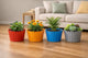 Go Hooked 8" Multicolor Plastic Garden Planters for Plants, Flower Pots for Home Garden, Plant Container Set (Set of 3, Multicolor) (8 x 7 Inch)
