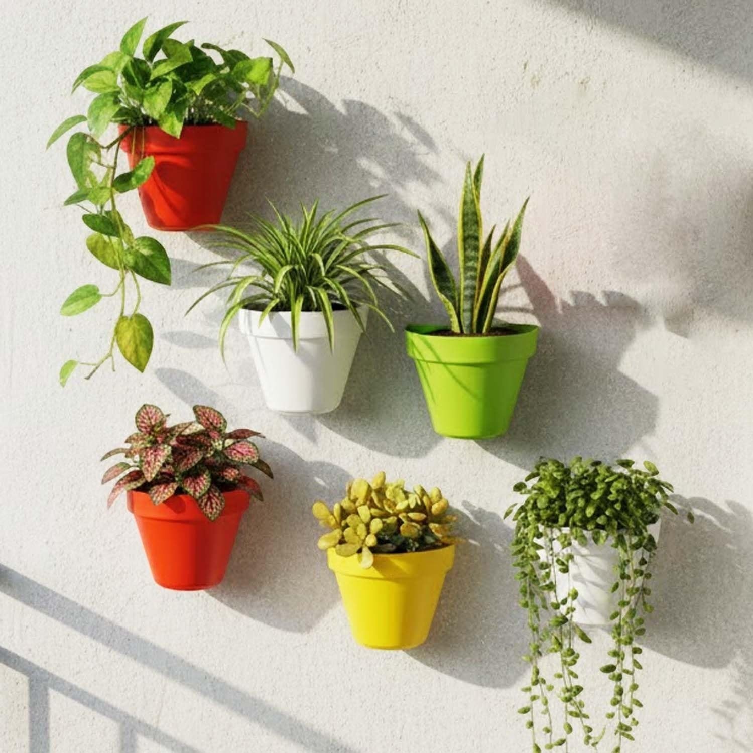 GoHooked multicolor plastic wall planters, pack of 10, for indoor/outdoor vertical garden decor.