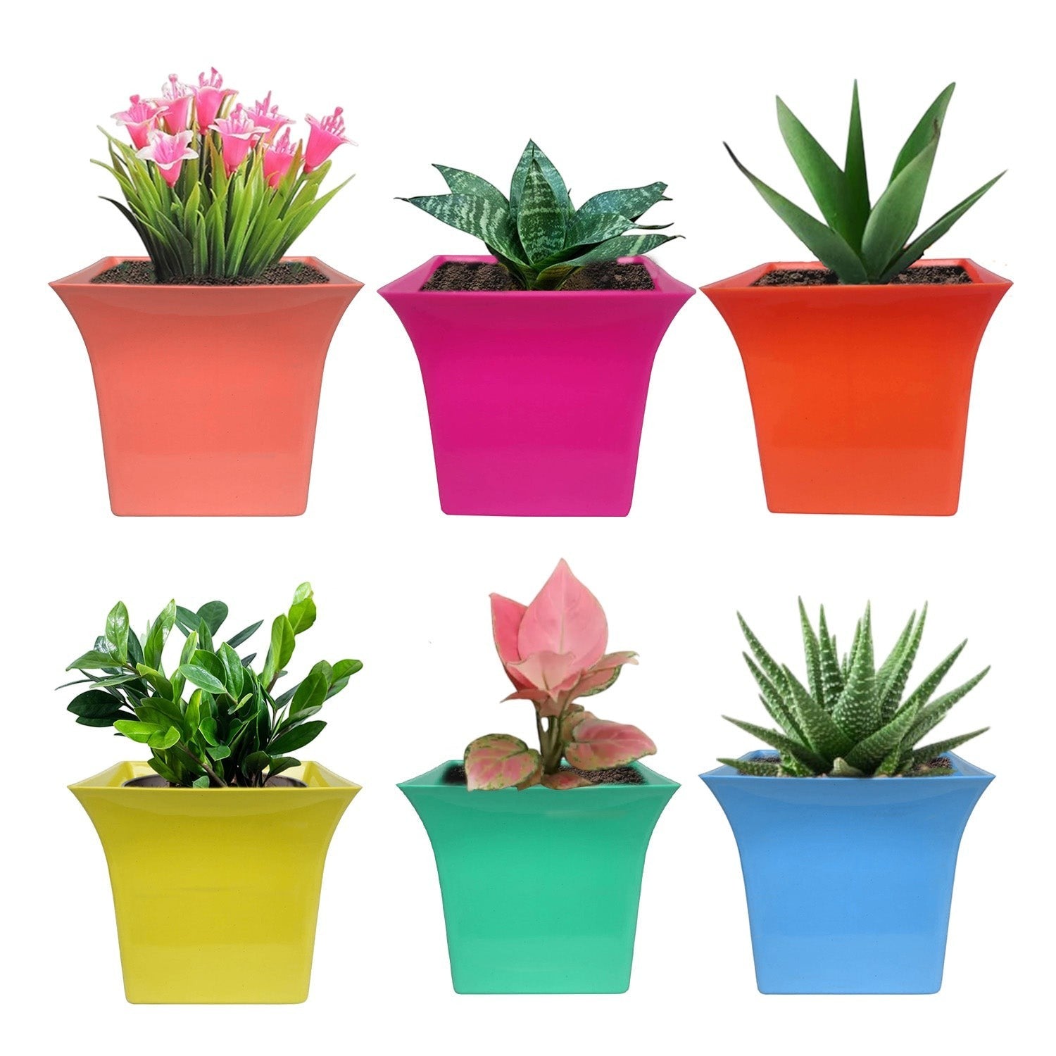 GoHooked set of six vibrant multicolor square plastic planter pots with various indoor plants on a white background