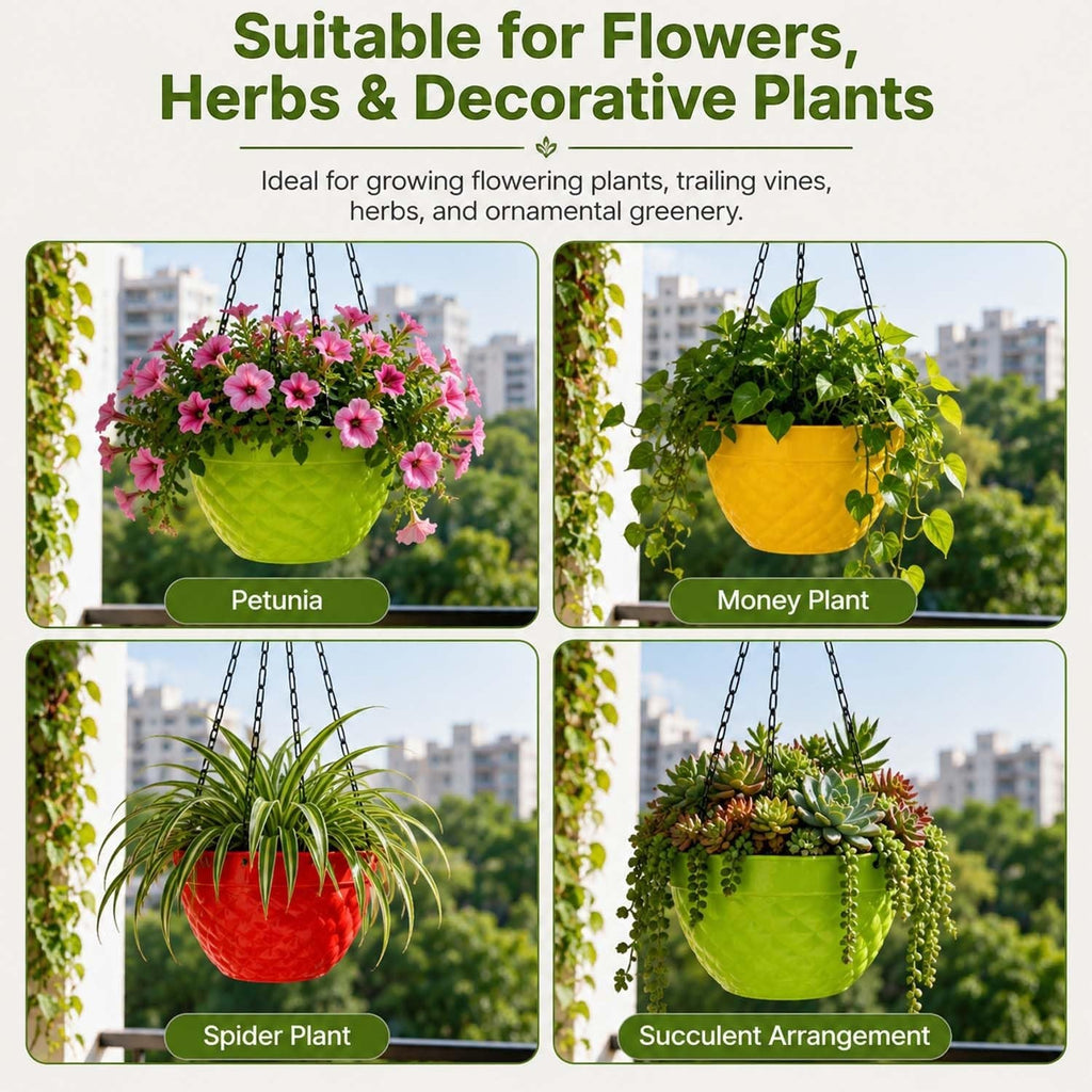 GoHooked multicolored faceted hanging plastic planters with chains, showcasing petunia, money plant, and succulents.