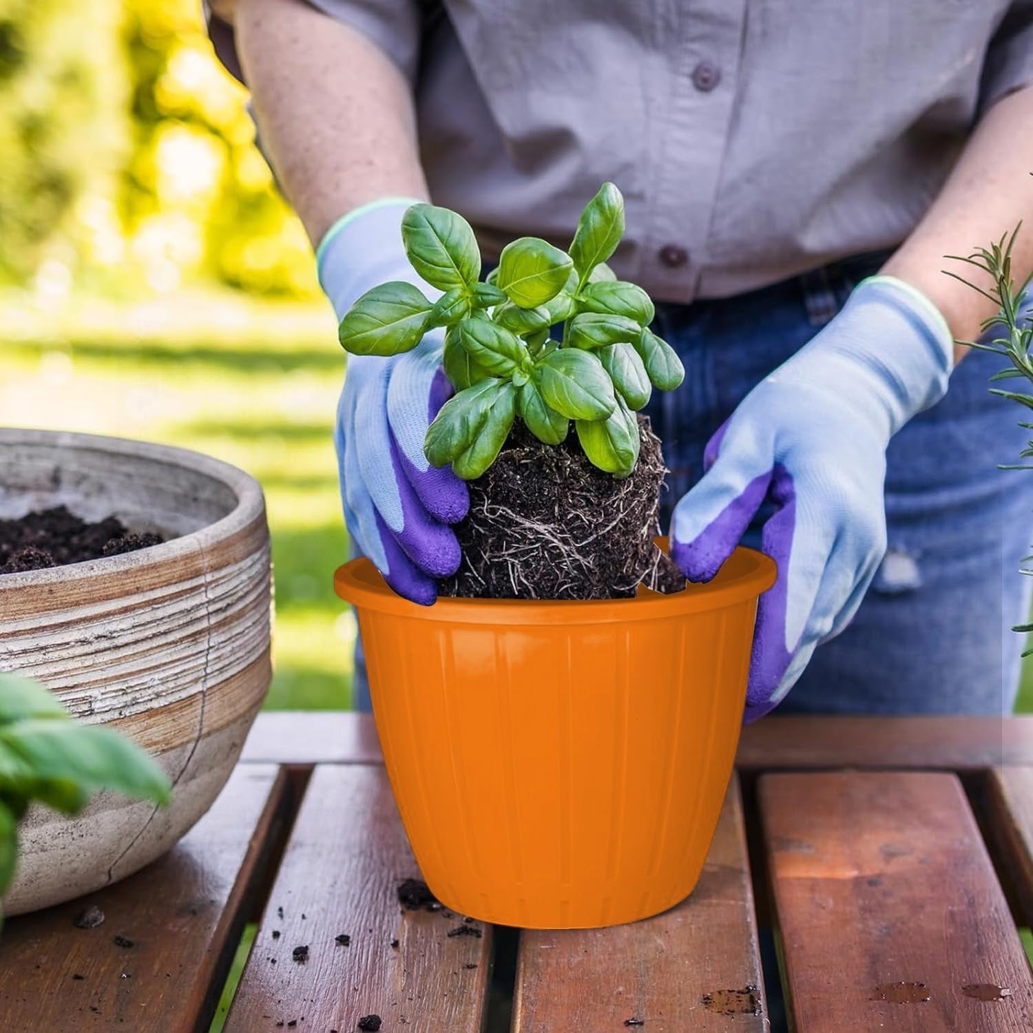 GoHooked orange plastic flower pot, 8 inch, with ribbed design, being planted with a basil plant.
