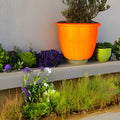GoHooked orange 8-inch plastic flower pot with ribbed design and tray, ideal for indoor/outdoor gardening.