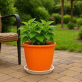 GoHooked orange plastic flower pot with tray, 8 inch, for indoor/outdoor gardening. Features fluted design.