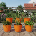 GoHooked 8-inch orange plastic flower pots with trays, set of 6, for indoor/outdoor gardening.