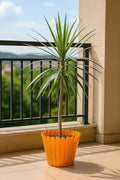 Go Hooked 11 inch orange plastic garden fence pot with scalloped edge, holding a green plant on a balcony.
