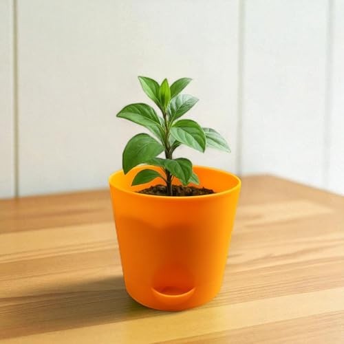 GoHooked orange plastic planter with a small green plant on a wooden table.