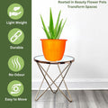 GoHooked orange plastic planter pot with aloe vera plant on a modern table. Features: light weight, durable, no odour, easy to move.