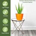 GoHooked orange plastic planter pot with ribbed texture, 8 inch, for indoor/outdoor gardening. Includes tray.