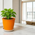 GoHooked orange 8-inch plastic planter pot with ribbed texture and matching saucer, holding a green plant.