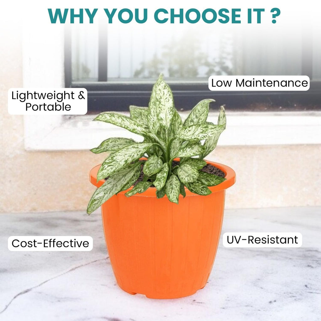 GoHooked orange plastic planter pot with a plant, suitable for indoor/outdoor use.