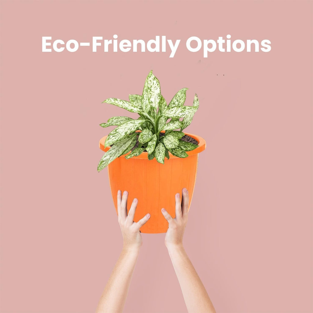 GoHooked orange plastic planter pot with a plant, held by two hands against a pink background.