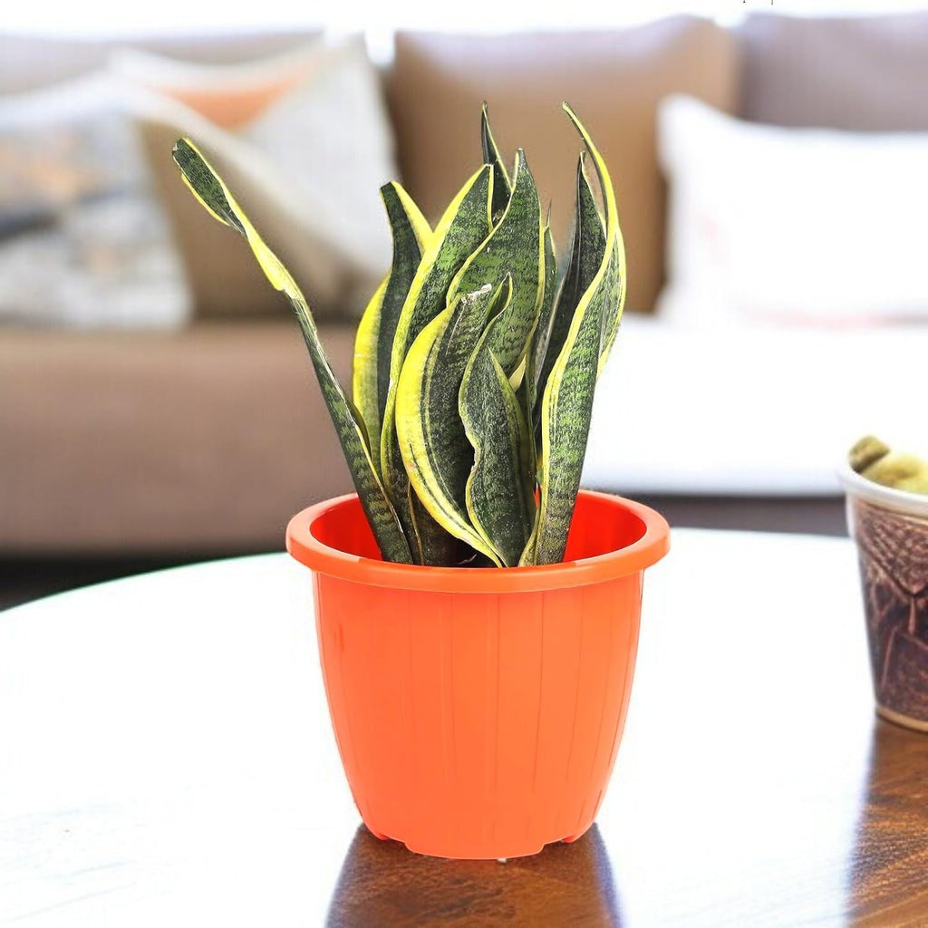 GoHooked orange plastic planter pot with ribbed texture, holding a snake plant indoors.