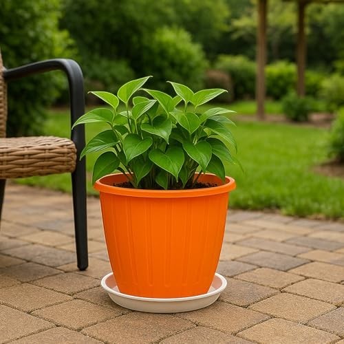 GoHooked 8-inch orange plastic planter pot with a matching tray, perfect for indoor or outdoor gardening.