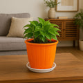 GoHooked orange plastic planter pot with drainage hole and tray, 8 inch, modern style for indoor/outdoor gardening.
