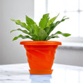 GoHooked orange plastic planter pot with saucer, 6 inch twister design for indoor/outdoor plants.