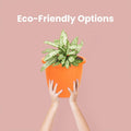 GoHooked orange plastic planter pot with a green plant, perfect for indoor or outdoor use.