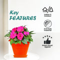 GoHooked orange plastic planter pot with saucer, 6 inch Zenith style, modern design, suitable for indoor/outdoor use.