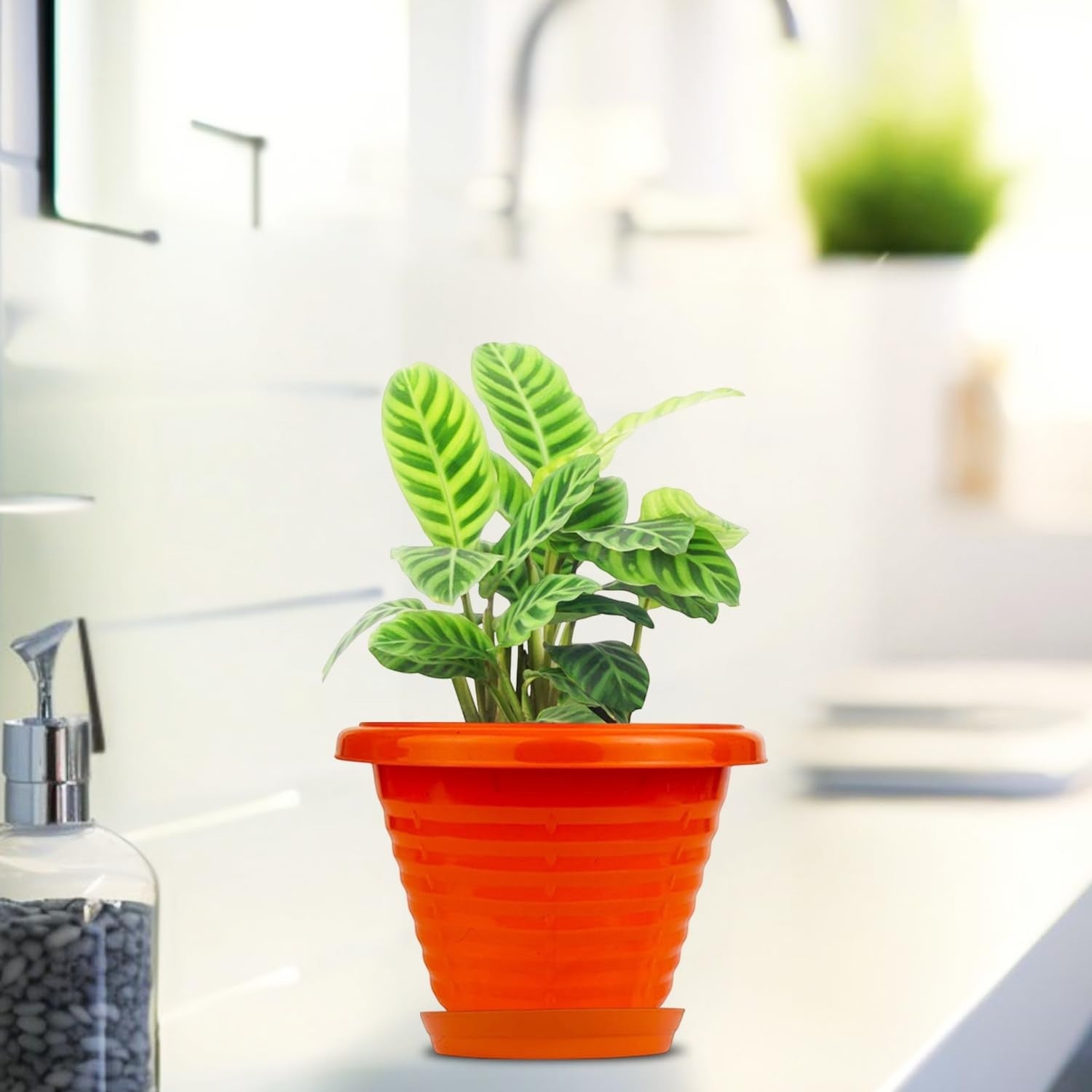 GoHooked orange 6-inch plastic planter pot with saucer, modern design, suitable for indoor/outdoor plants.